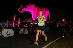 BIB: 
                            <button type="button" onclick="openModal(26535036)" class="btn btn-primary btn-sm float-right btn-popup" data-toggle="modal" data-target=".modal-high-quality">
                        <i class="fas fa-shopping-cart"></i> Add to Cart
                    </button>
                                            <button type="button" onclick="isThisMe(26535036, true)" class="btn btn-success btn-sm float-right btn-popup btn-isme hidden" data-toggle="tooltip" data-placement="bottom" title="นี่คือรูปของคุณใช่ไหม คลิกที่นี่เพื่อเอาเข้าอัลบั้ม">
                        <i class="fas fa-plus"></i> Add to album
                    </button>
                    <button type="button" onclick="isThisMe(26535036, false)" class="btn btn-warning btn-sm float-right btn-popup btn-isnotme hidden">
                        <i class="fas fa-ban"></i> Remove from album
                    </button>